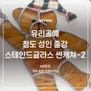 스테인드글라스 | <14-14회차 청도 성인 공예 출강 후기> _ 스테인드글라스 유리 썬캐쳐 만들기 체험 _ 미도리공방