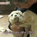 보다더동물농장 이미지