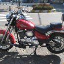 데이스타 이미지