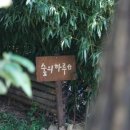 숲의하루 이미지