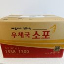 다이노스808