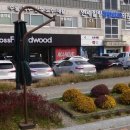 마이외과 정형외과의원 | 경기광주 신현동,연세힐링정형외과의원 후기!!