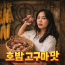 안호농장 | 2026 호밤 고구마 효능과 파종시기
