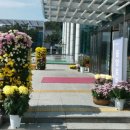 용인시청 이미지