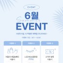 미엘네일브로우