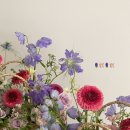 핏어팟(pit A pat) 이미지