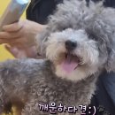 똘망똘멍 이미지
