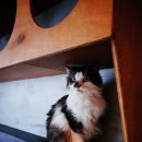 수원-0611 이미지