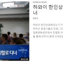 [ 하와이 현지뉴스 :: "KBFD" (한인TV) ] 2023년 9월 15일까지 - 야생 닭 개체수 줄이기 이미지