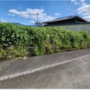 용정마을회관 이미지