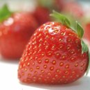 딸기짐 이미지