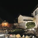 조선 | 광주 효천지구 맛집 애견동반 카페 조선피플 후기