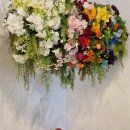 토리소아청소년과의원 이미지