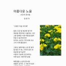 풋사랑 Daum카페