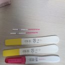 인천 남동구보건소 임산부등록, 임신축하선물, 무료산전검사 안내 (쪙글동글육아탐험대 시작!)