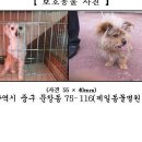 퇴미2공원2 이미지