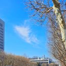 엄마와딸 행복식탁 | 교대역맛집 서초참치명가 참다랑어 스페셜 후기｜서초역참치 노포에서 엄마와 식사