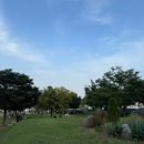 다보네가구 | 대충 살자 어차피 시간은 흐르니까