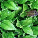 외출준비 이미지