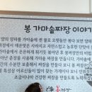 봉짜장 - 군산시 하나운안1길 20 | 봉짜장