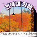 아이비586 이미지