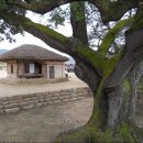 예천삼강 이미지