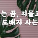 은혜지물포