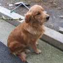 영천전자고등학교 이미지