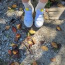 옥정호풍차 이미지