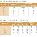 체리과원의 콩알품종을 왕다마로 품종갱신 ABC 이미지