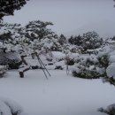 갈멜사슴농원 이미지