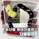 2313 | [대전 원데이클래스] 대전 이색데이트, 대전 모루 거울 만들기 "다즐링센트" 방문 후기!
