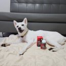 에스솔루션