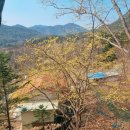 살구미둘레길입구 | [강원도 인제] 소양강의 푸른 봄 강변길 소양강 둘레길 1코스 (코스설명, 주차, 조망지점)