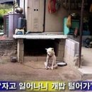 낼름