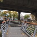 정원여중 정류장 이미지