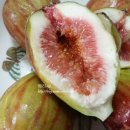 용안농약사 이미지