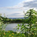 용봉약수터 이미지