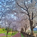 용전주유소 이미지