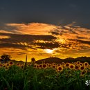 연천 호로고루 이미지