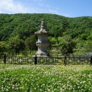 봉덕교 | 【南道踏査 II】남도의 사각지대를 찾아서... ( 2 ) 보림사의 동·서승탑