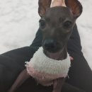 킹스키즈 개린이집 이미지