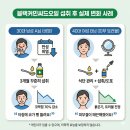 현대항균세탁소 | 블랙커민이란? 효과와 부작용 핵심 정리 고르는 기준과 구매 요령·섭취방법, 오일·시드 차이까지