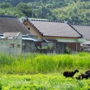 조곡동 둑실공원 이미지