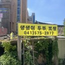 생생이두부보쌈 이미지