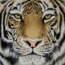 박소영 개인전 이미지