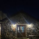 도토리하우스 | 🌿 제주 감성 가득한 하루, 도토리 게스트하우스 후기 🌿