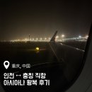 OZ | 인천 충칭 아시아나 OZ353 OZ354 왕복 후기 ㅣ 기내식 과일식 포함