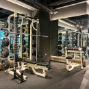 도미디 피트니스 이미지