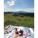 아라동주민센터 (남국원(광양방면)방면) | 제주 숲길,오름투어를 위한 제주210번 간선버스